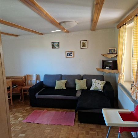 Luxury Apartment Ana With Hot Tub Visnja Gora Екстер'єр фото